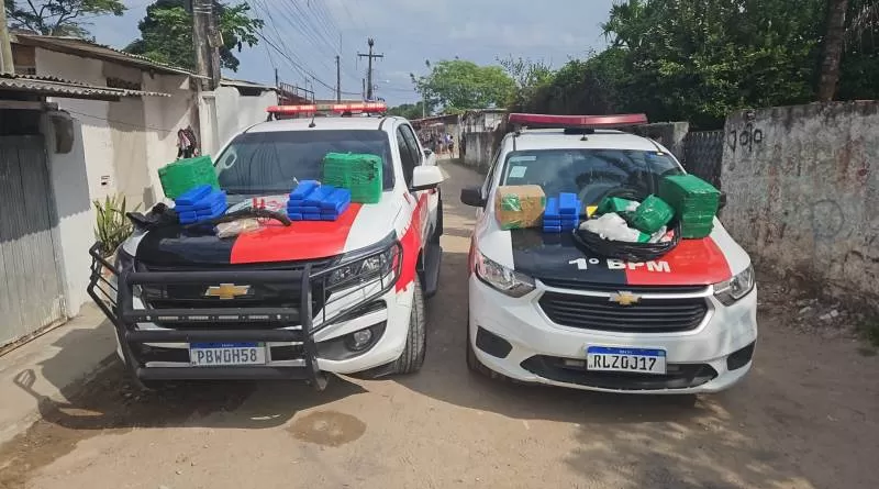 Final de semana tem cerca de 100 quilos de drogas e 33 armas de fogo apreendidas na Paraíba