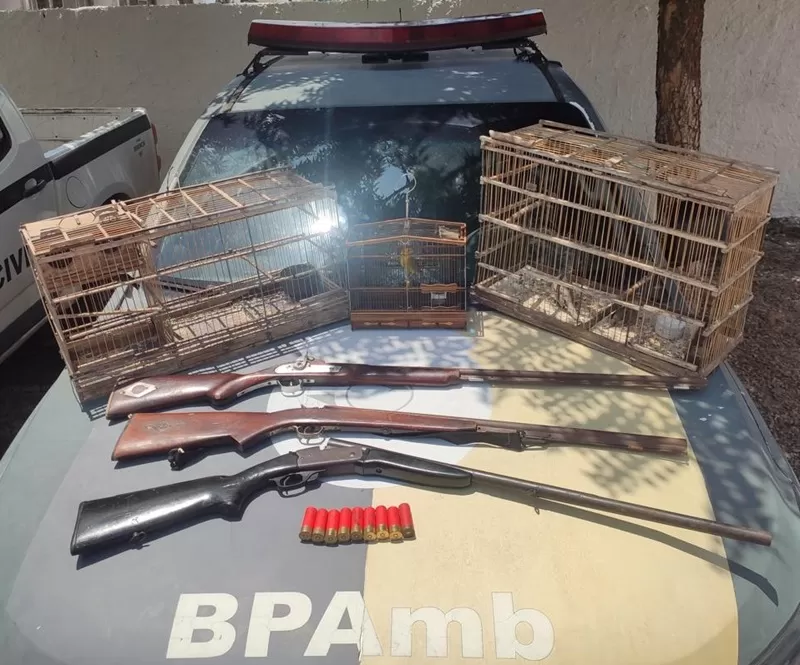 Polícia Militar desarticula cativeiro ilegal, resgata aves silvestres e apreende três armas na Paraíba 