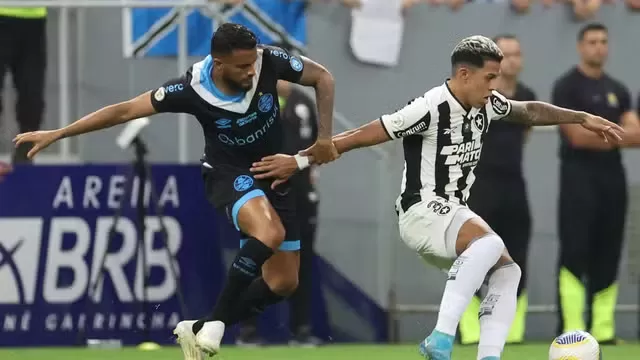 Botafogo empata com Grêmio, em jogo com gol anulado e expulsão no Mané Garrincha