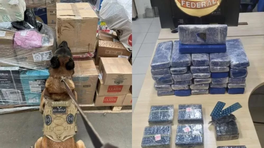 PF apreende encomenda postal contendo cerca de 25 kg de maconha e 398 cartelas de medicamento