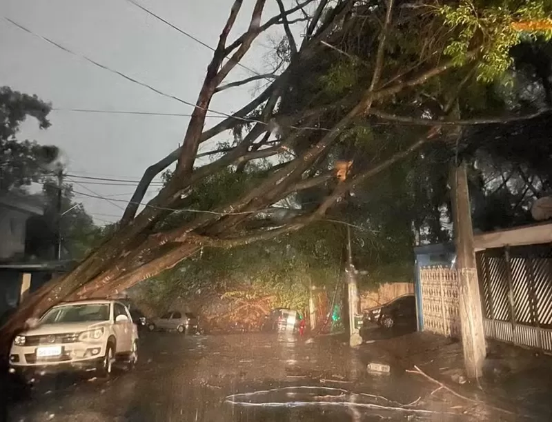 Chuvas no estado de São Paulo matam 4 pessoas 
