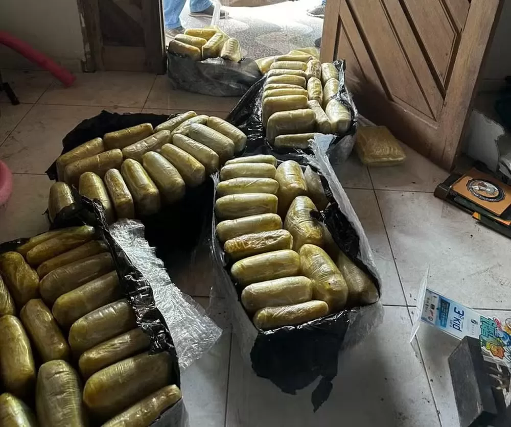 FICCO/RN prende dois homens e faz apreensão recorde de skunk no Rio Grande do Norte