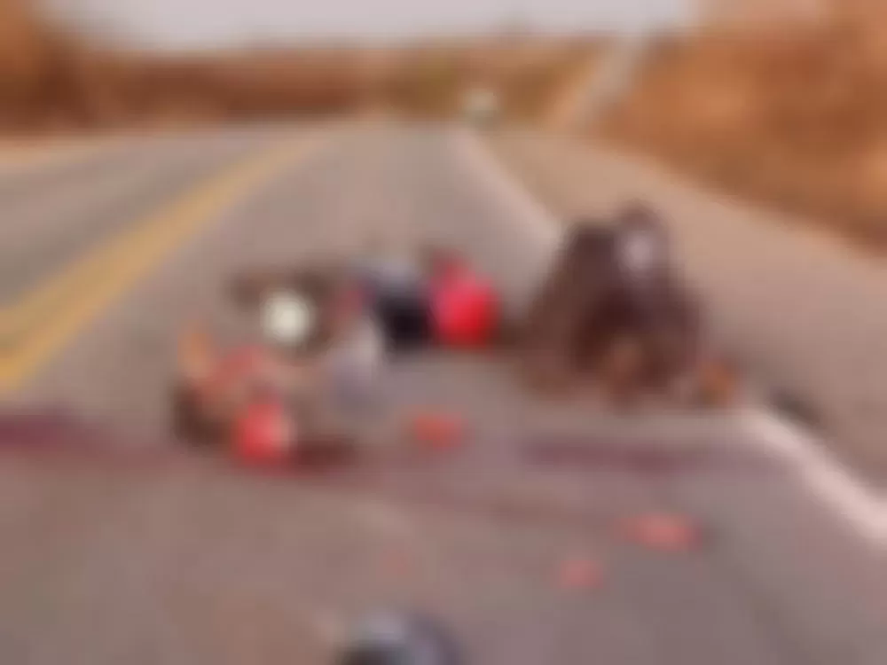 Motociclista colide com animal e morre após cair e ser atropelado na BR-230, em Condado