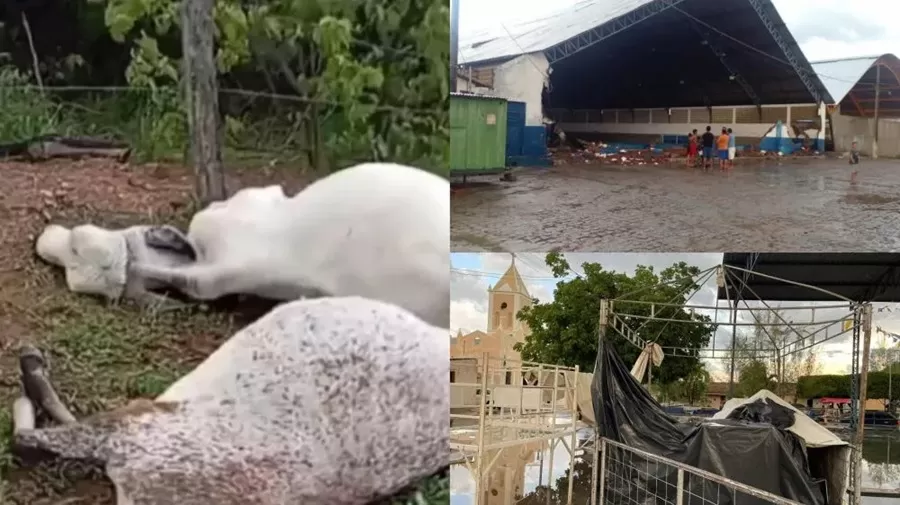 Forte chuva com ventania causa estragos e adia festa do padroeiro; vacas morrem atingidas por raio