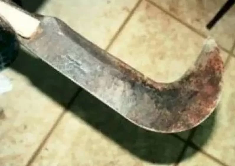 Idoso é morto a golpes de foice após desentendimento sobre venda de imóvel na PB