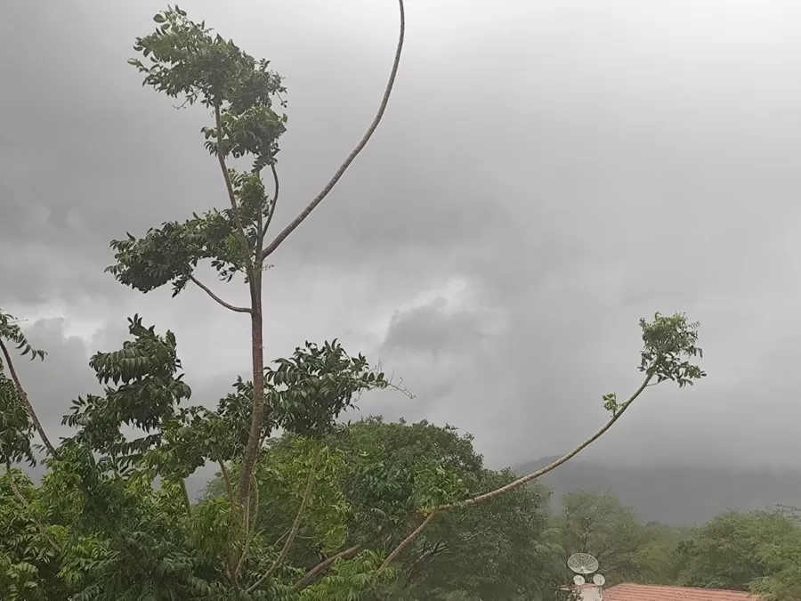 Chuvas podem voltar ao Sertão da Paraíba entre os dias 20 e 26 de abril, alerta meteorologista