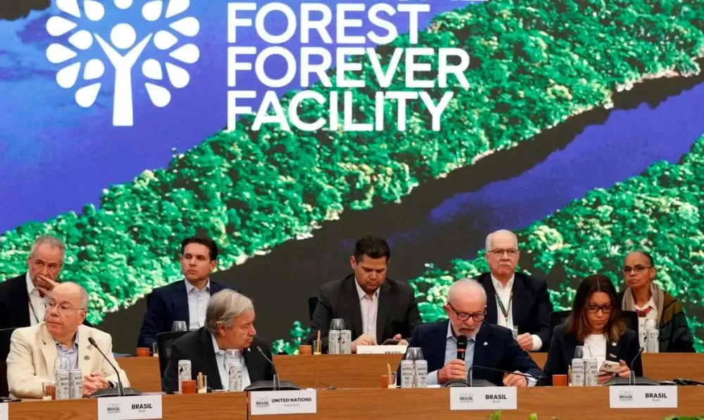 Proposta liderada pelo governo brasileiro, fundo para florestas tropicais atinge aporte de US$ 5,5 bilhões 