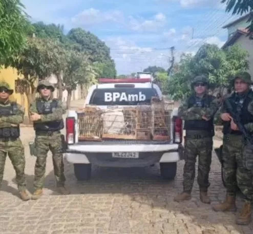 Polícia Ambiental realiza grande apreensão de aves silvestres e desmantela cativeiro em Catolé do Rocha