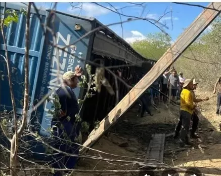 Carreta boiadeira que transportava 80 bois tomba em curva da rodovia PB-366, no Sertão da Paraíba
