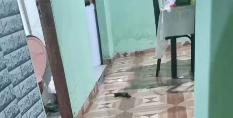 Mulher é morta a tiros e marido, suspeito do crime, se mata em seguida, no Litoral Norte da Paraíba