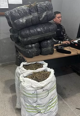 62 Kg de maconha: Polícia Militar realiza grande apreensão de drogas na região de Campina Grande