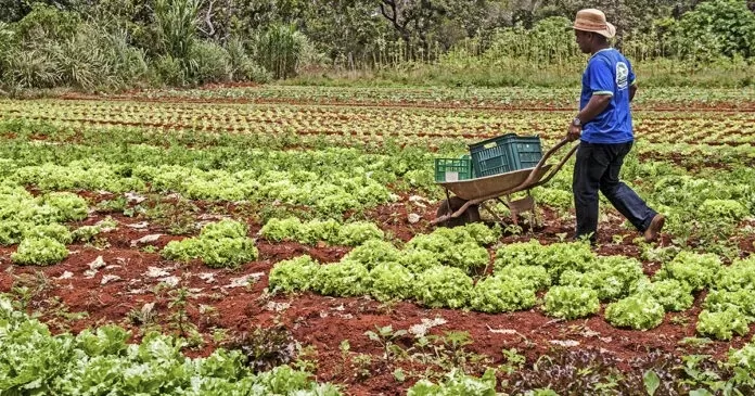 Paraíba apresenta balanço de programa voltado à agricultura familiar nesta segunda-feira (16)
