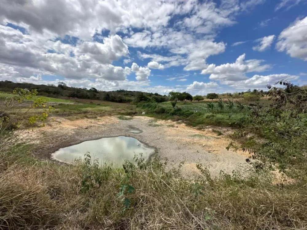 Foto: Divulgação/Prefeitura Municipal de Lagoa Seca